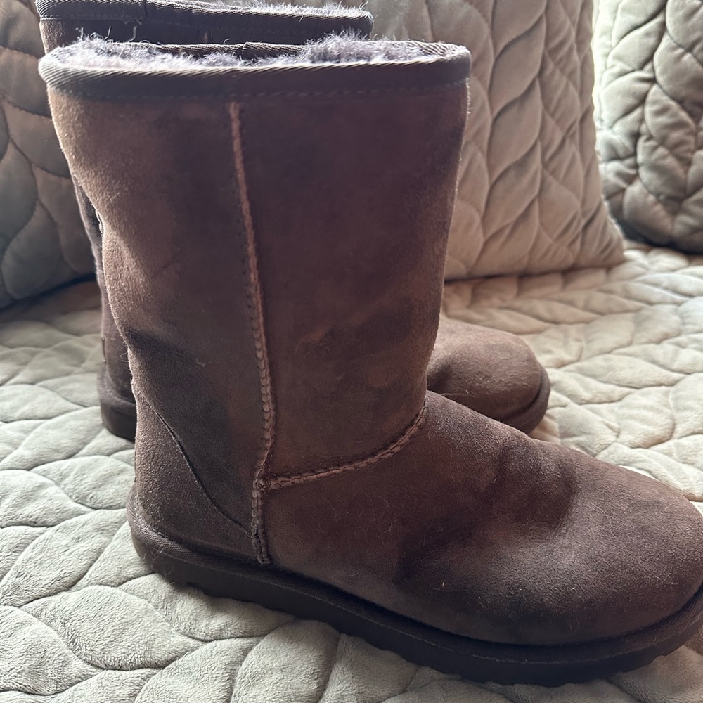 Ugg Classic Short in Chocolate